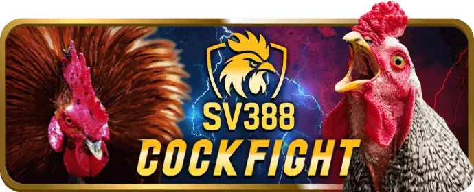 Điền thông tin đăng ký Bet68